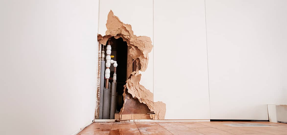 6 Ways to Spot Water Leaks in Your Home and How to Avoid Them